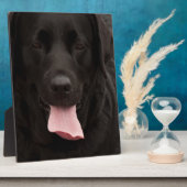 Schwarze Hundegesicht Fotoplatte (Seite)