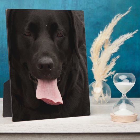 Schwarze Hundegesicht Fotoplatte (Seite)