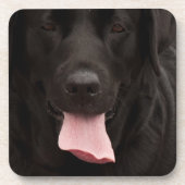 Schwarze Hundegesicht Getränkeuntersetzer (Vorderseite)