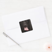 Schwarze Hundegesicht Quadratischer Aufkleber (Umschlag)
