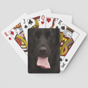 Schwarze Hundegesicht Spielkarten