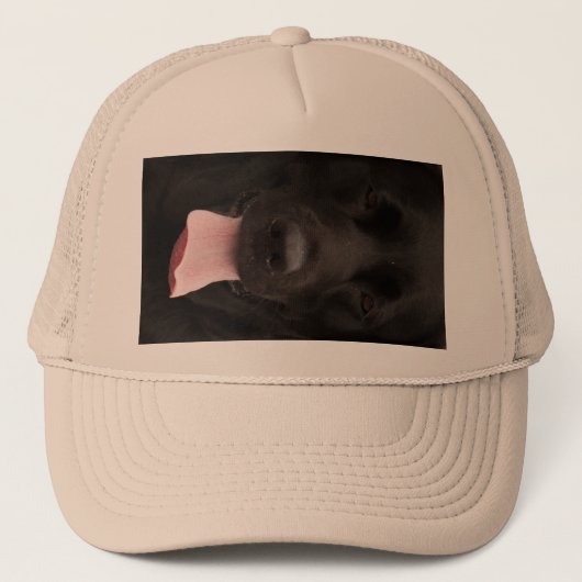 Schwarze Hundegesicht Truckerkappe (Vorderseite)