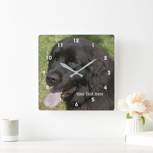 Schwarze Hundekugel Quadratische Wanduhr (Zuhause)