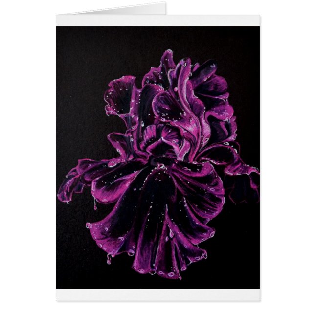 Schwarze Iris (Vorne)