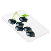 Schwarze Johannisbeere Magnet (Rechte Seite)
