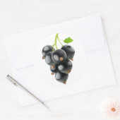 Schwarze Johannisbeere Runder Aufkleber (Umschlag)