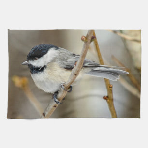 Schwarze Karte Chickadee Küchentücher
