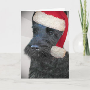 Schwarze Karte Scottish-Terriers Sankt