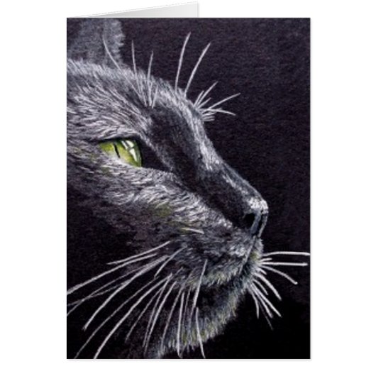 Schwarze Katze (Vorne)