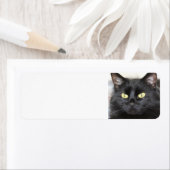 Schwarze Katze (Insitu)