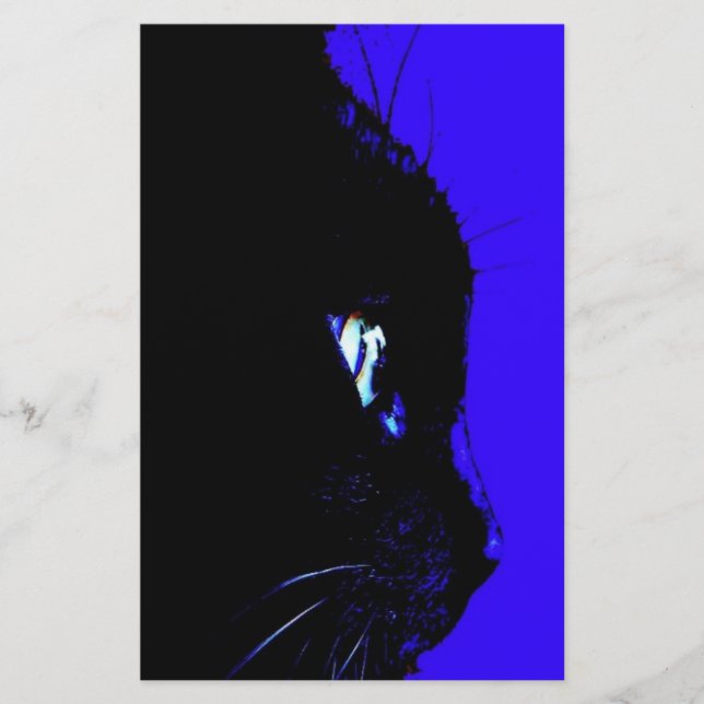 Schwarze Katze (Vorderseite)