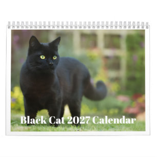 Schwarze Katze 2027 Kalender