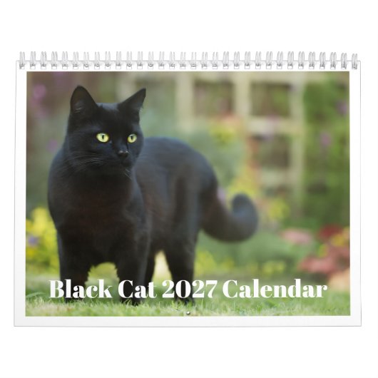 Schwarze Katze 2027 Kalender (Titelbild)
