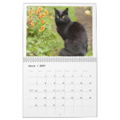 Schwarze Katze 2027 Kalender (Mär 2027)