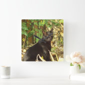 Schwarze Katze am Morgen Sonnenmauer Uhr (Zuhause)