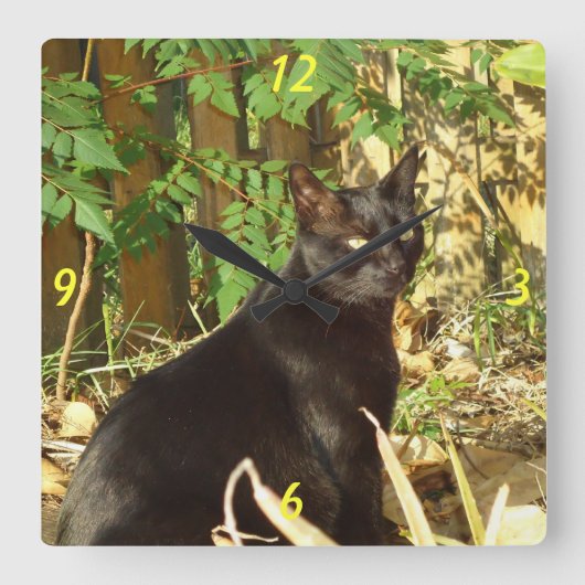 Schwarze Katze am Morgen Sonnenmauer Uhr (Vorderseite)