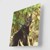 Schwarze Katze am Morgen Sonnenmauer Uhr (Winkel)