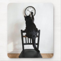 Schwarze Katze ändert die Zeit 