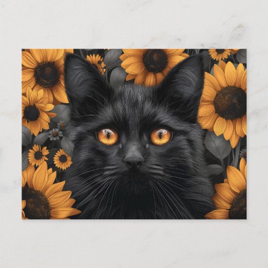 Schwarze Katze auf dem Sonnenblumenfeld Postkarte (Vorderseite)
