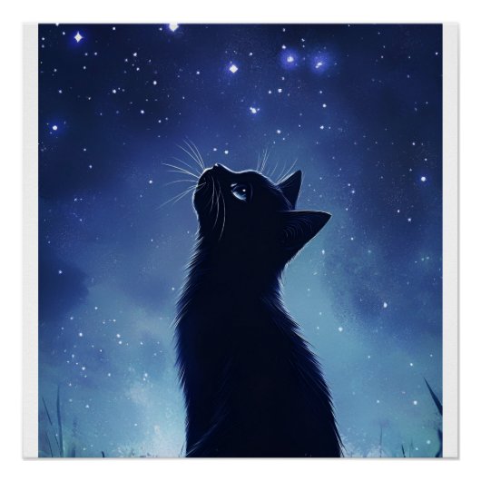 Schwarze Katze auf der magischen Wiese Starlit Poster (Vorderseite)
