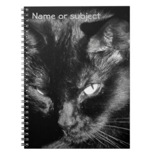 Schwarze Katze auf dich schauen Notizblock