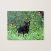 Schwarze Katze auf einem Puzzle (Horizontal)