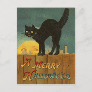 Schwarze Katze auf einem Zaun in der Halloween-Nac Postkarte