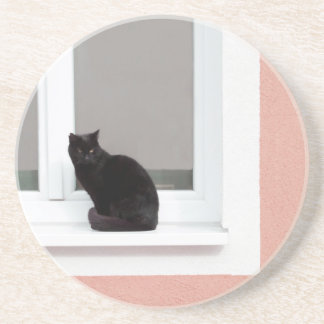 Schwarze Katze auf Koralle Getränkeuntersetzer