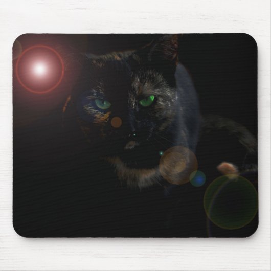 Schwarze Katze auf schwarzem Mauspad (Vorne)