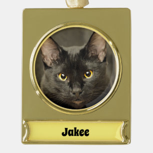 Schwarze Katze Banner-Ornament Gold