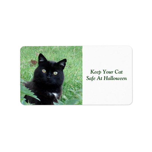 Schwarze Katze - Behalt Ihres katzensicheren Etike Adressaufkleber (Vorne)