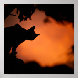 Schwarze Katze bei Sonnenuntergang Halloween Poster