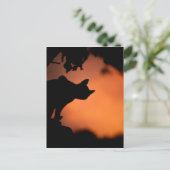 Schwarze Katze bei Sonnenuntergang Halloween Postkarte (Stehend Vorderseite)