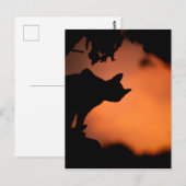 Schwarze Katze bei Sonnenuntergang Halloween Postkarte (Vorne/Hinten)