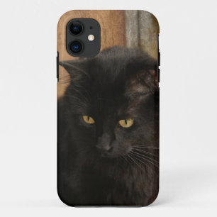 Schwarze Katze, bernsteinfarbige Augen, Erdtöne Case-Mate iPhone Hülle