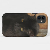 Schwarze Katze, bernsteinfarbige Augen, Erdtöne Case-Mate iPhone Hülle (Rückseite (Horizontal))