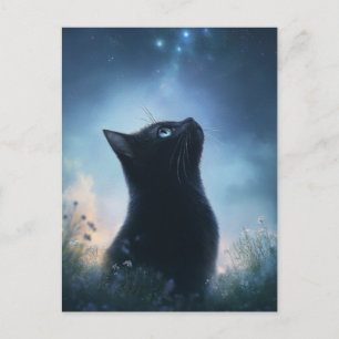 Schwarze Katze betrachtet den Sternenhimmel eines  Postkarte