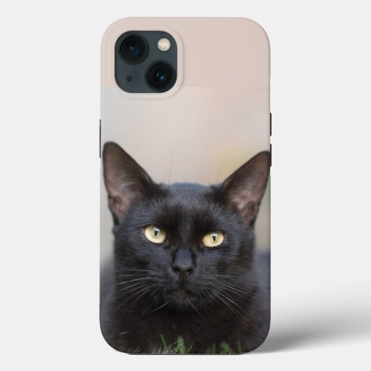 schwarze Katze Case-Mate iPhone-Hülle iPhone Hülle (Rückseite)
