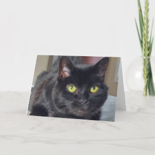 Schwarze Katze Dankeskarte
