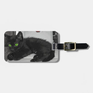 Schwarze Katze des Prunella, die auf Laptop Gepäckanhänger