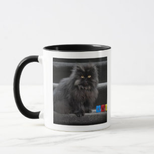 Schwarze Katze, die auf Treppe durch Gebäudeblöc Tasse