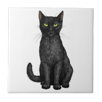 Schwarze Katze