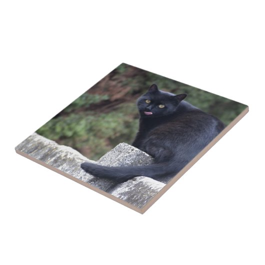 Schwarze Katze Fliese (Seite)