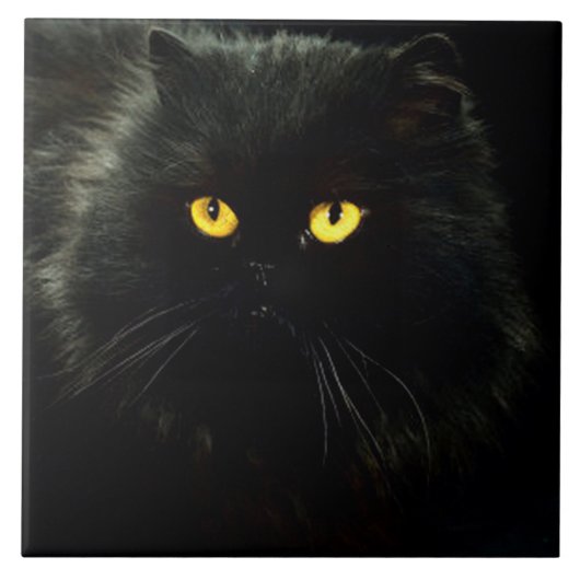 Schwarze Katze Fliese (Vorderseite)