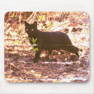 Schwarze Katze Foto Mousepad