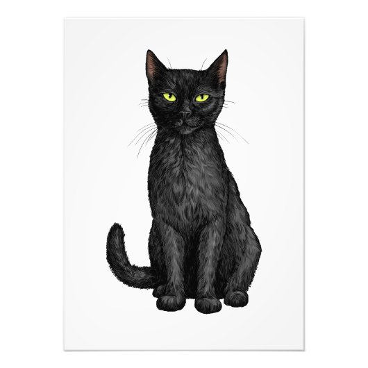 Schwarze Katze Fotodruck (Vorne)