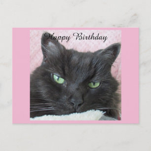 Schwarze Katze Geburtstagskarte Postkarte