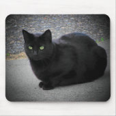 Schwarze Katze gefangen in einem Mondstrahl Mousepad (Vorne)