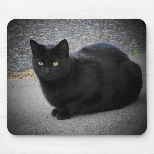 Schwarze Katze gefangen in einem Mondstrahl Mousepad (Vorne)
