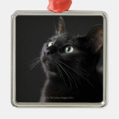 Schwarze Katze gegen schwarzen Hintergrund, Ornament Aus Metall (Vorne)